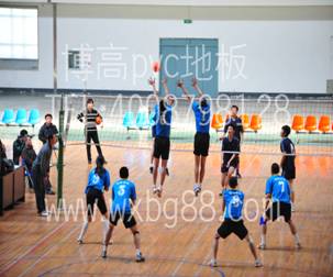 室內排球運動發(fā)展，騰方排球場地膠相助